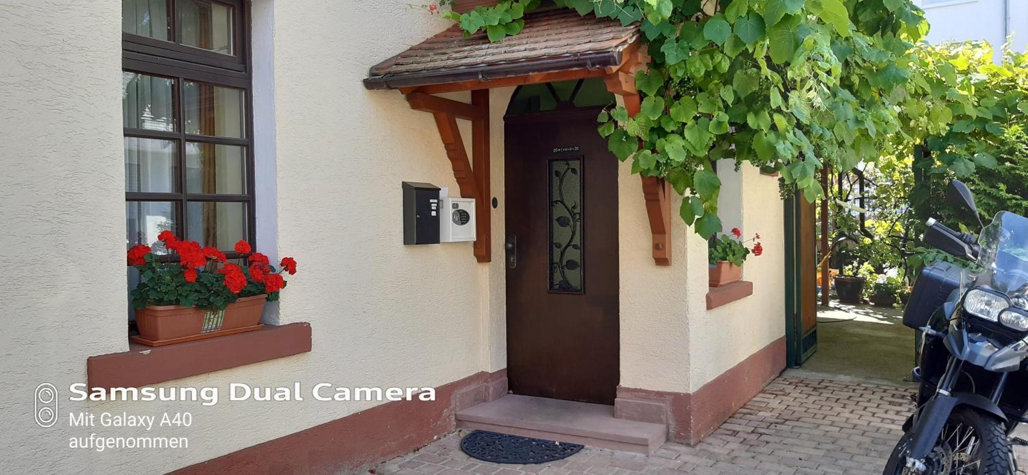 Gaestehaus Zu Herrenwiesen Heidelberg Ngoại thất bức ảnh